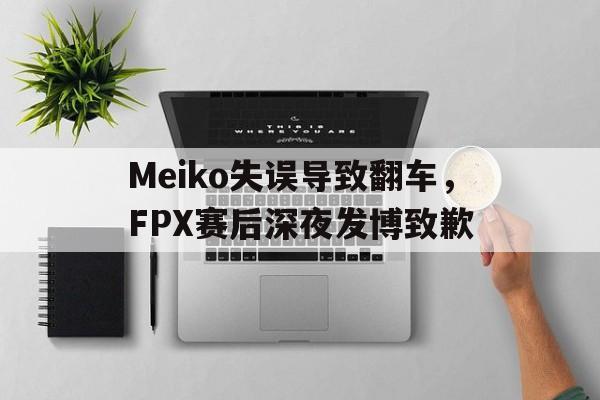 电子竞技app下载网址-Meiko失误导致翻车，FPX赛后深夜发博致歉